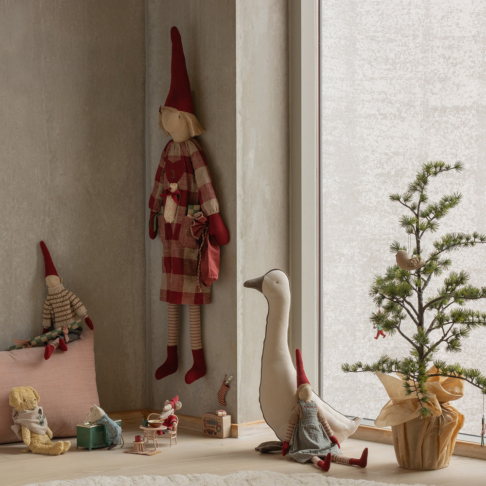 Pixy Größe 3 Junge