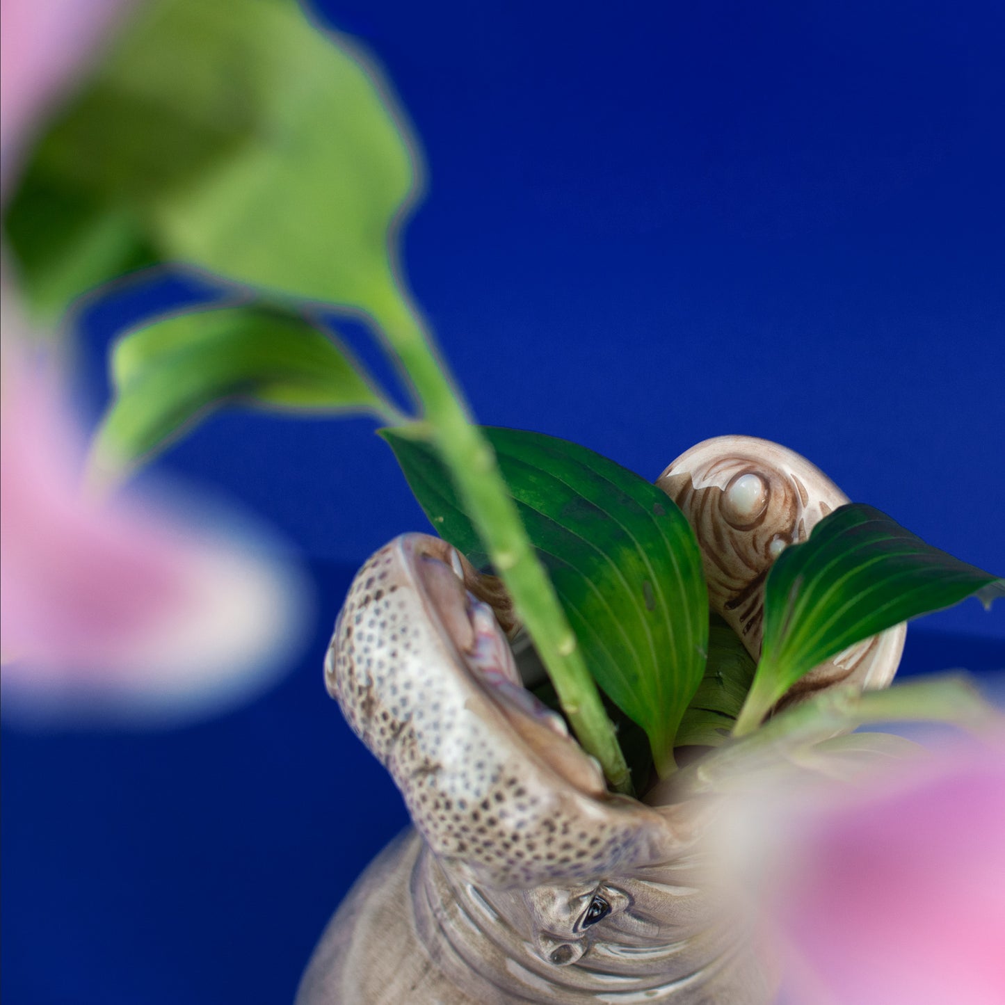 Hungry Hippo Vase