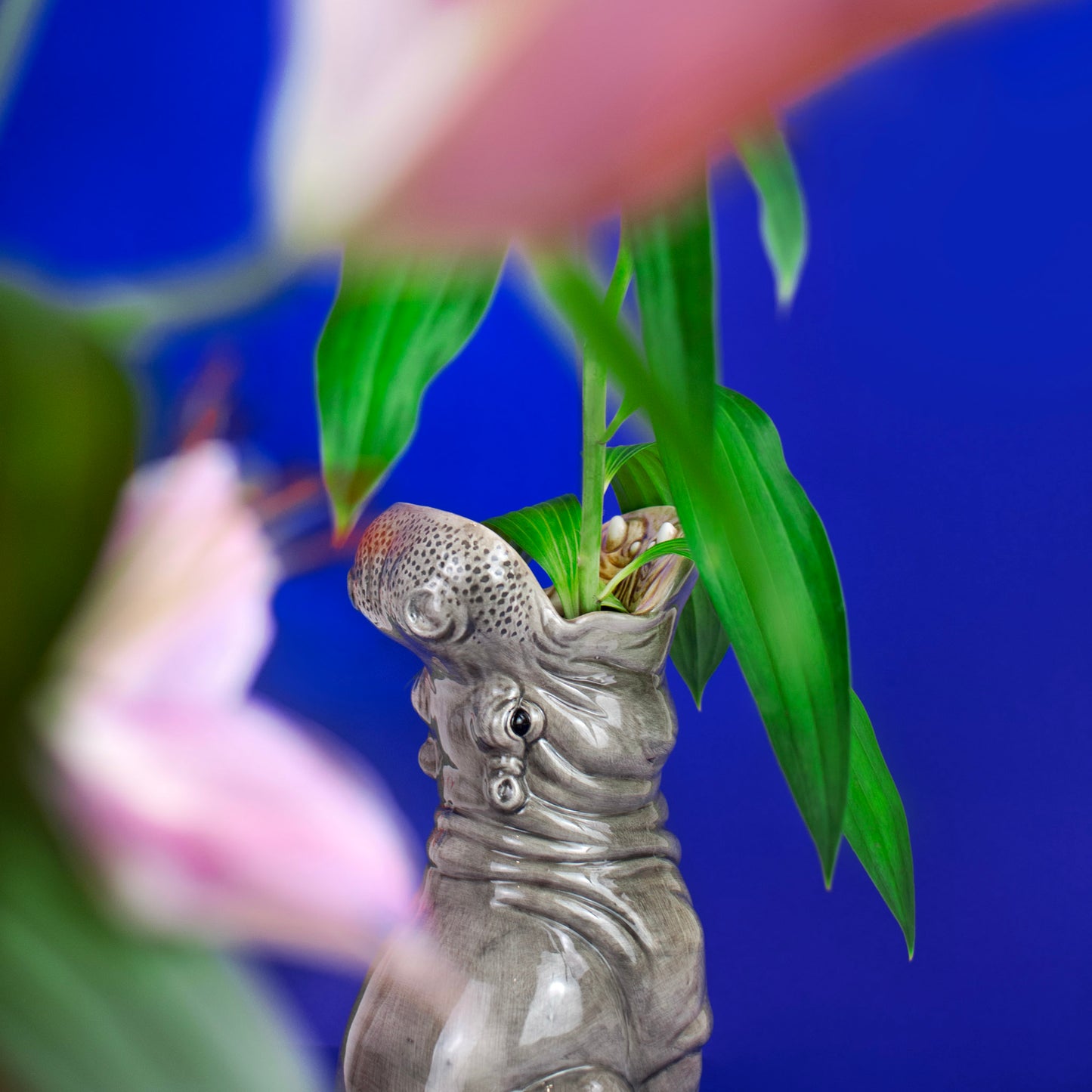 Hungry Hippo Vase