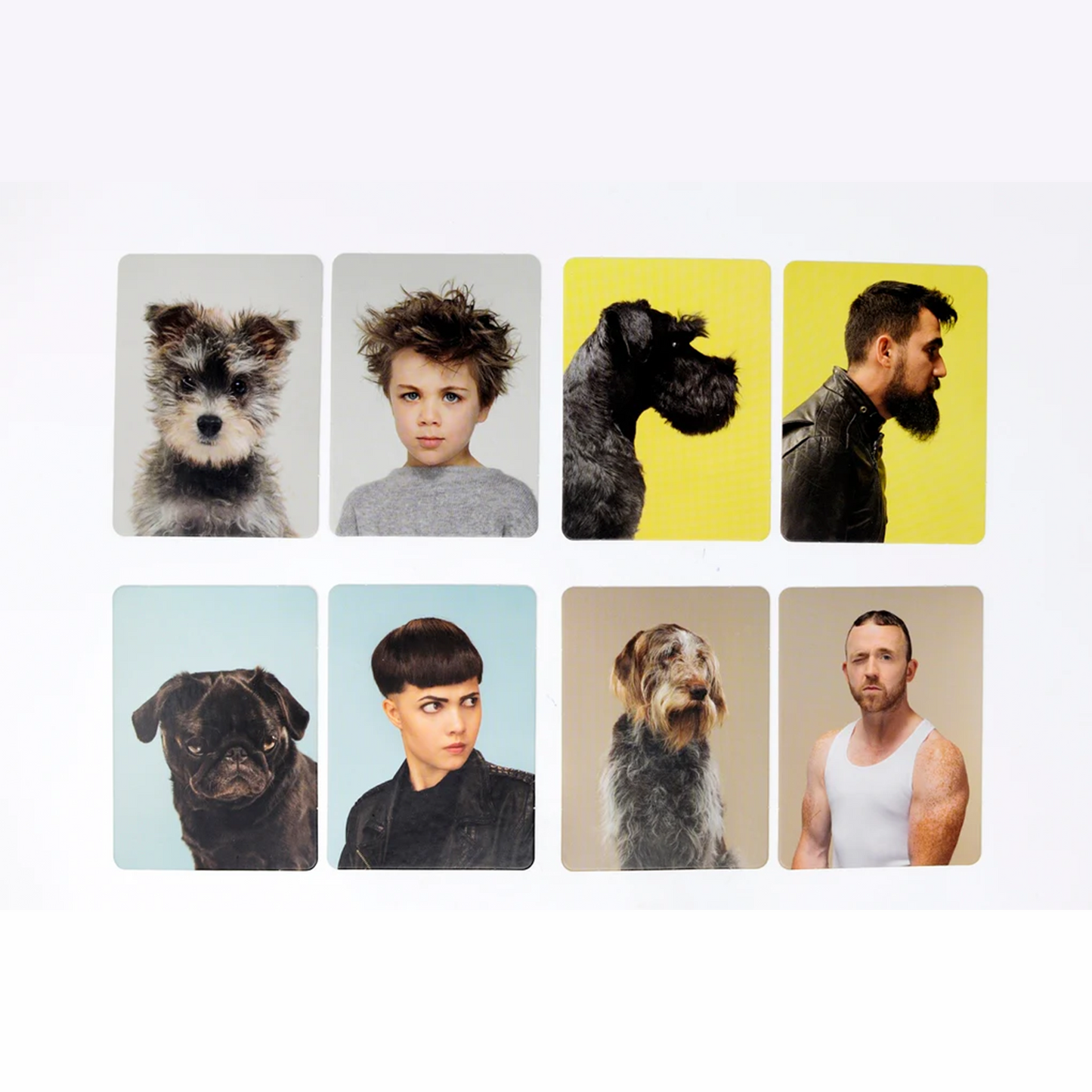 Memory Spiel - Siehst du aus wie dein Hund?