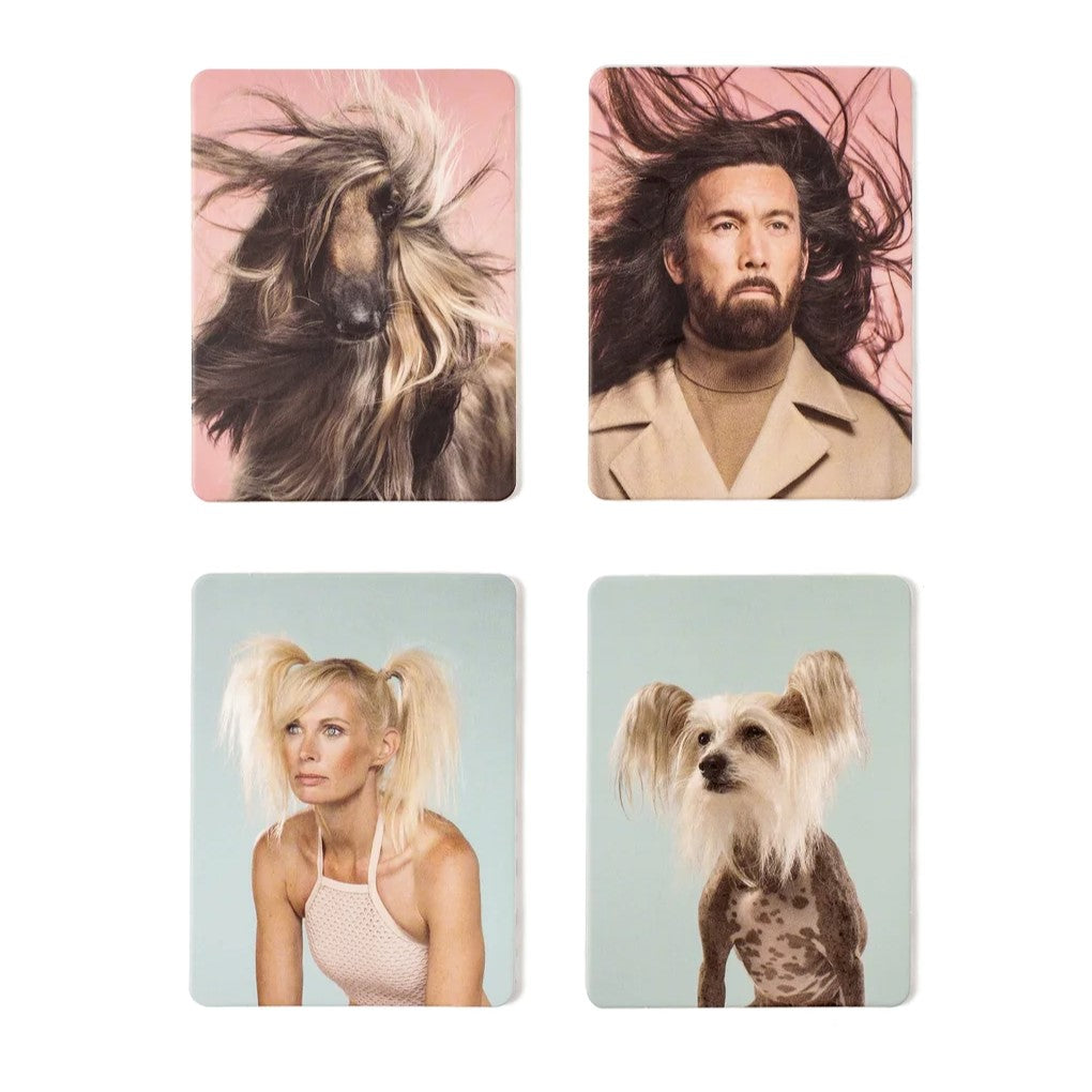 Memory Spiel - Siehst du aus wie dein Hund?