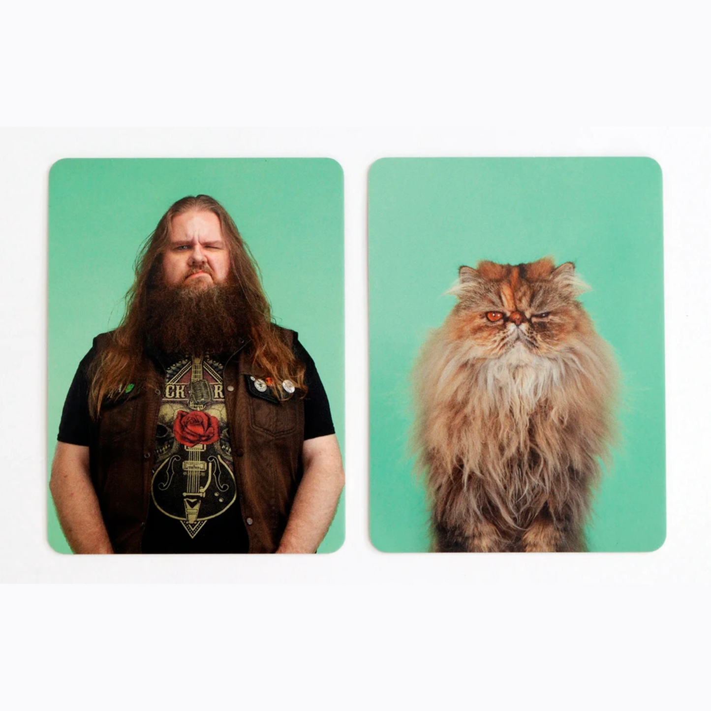 Memory Spiel - Siehst du aus wie deine Katze?