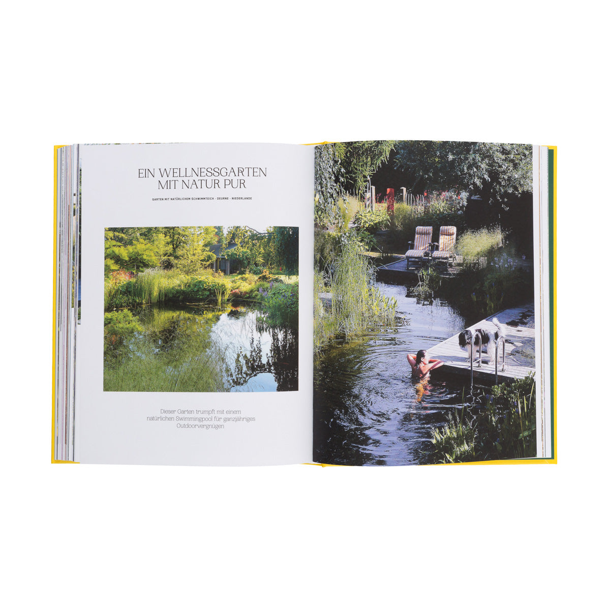 Der Garten Eden
