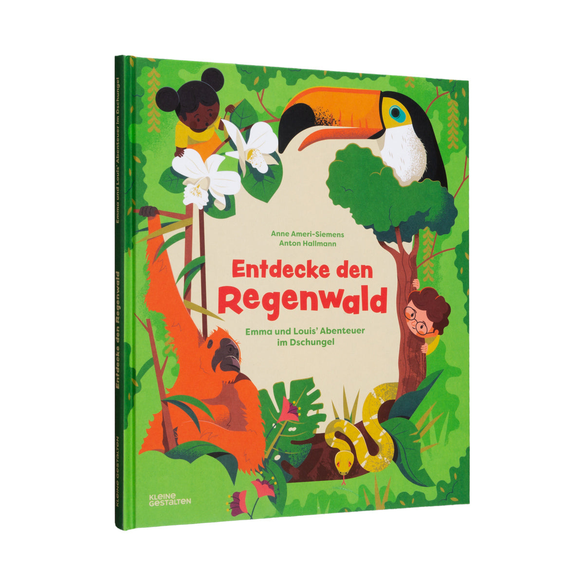 Entdecke den Regenwald