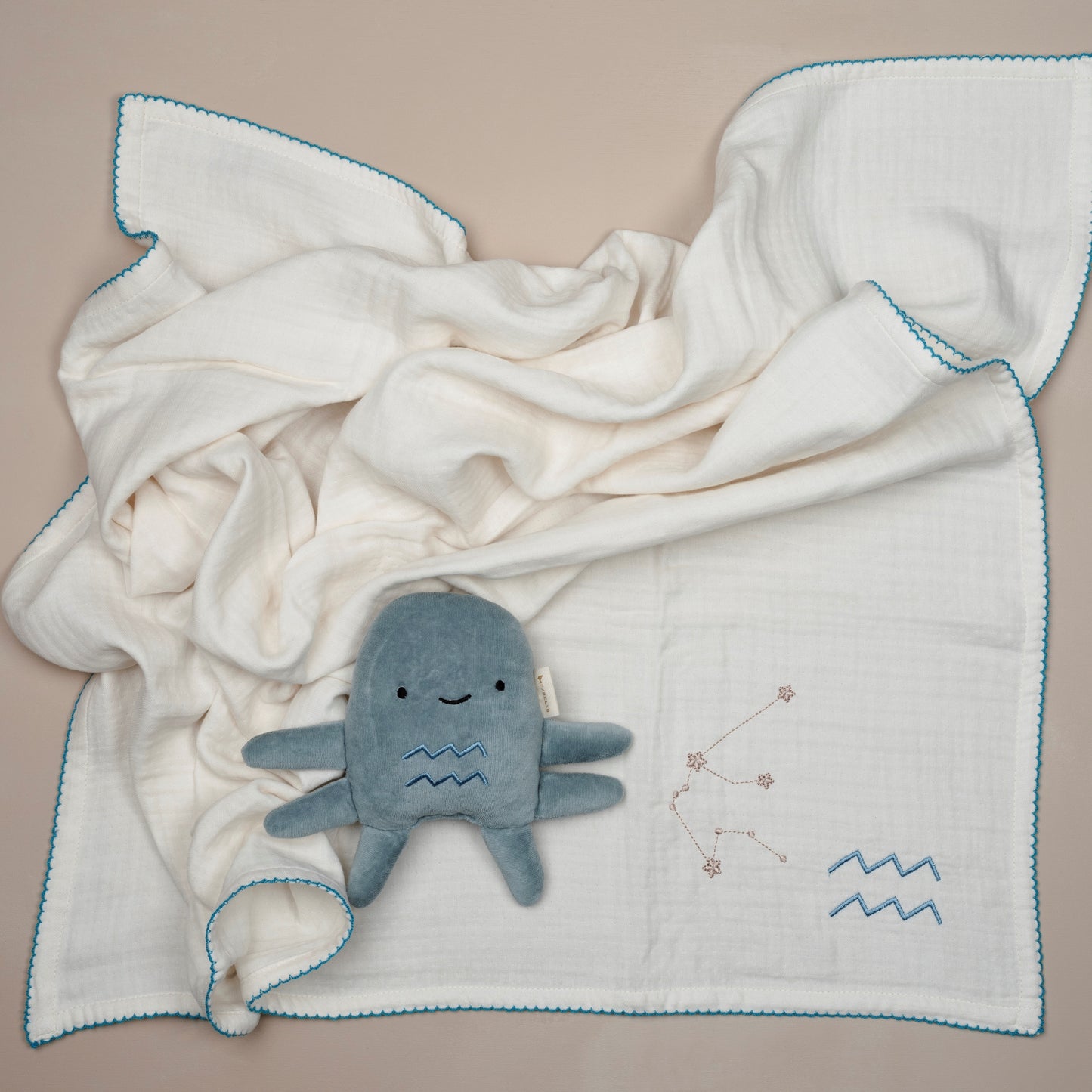 Little Zodiacs Wassermann