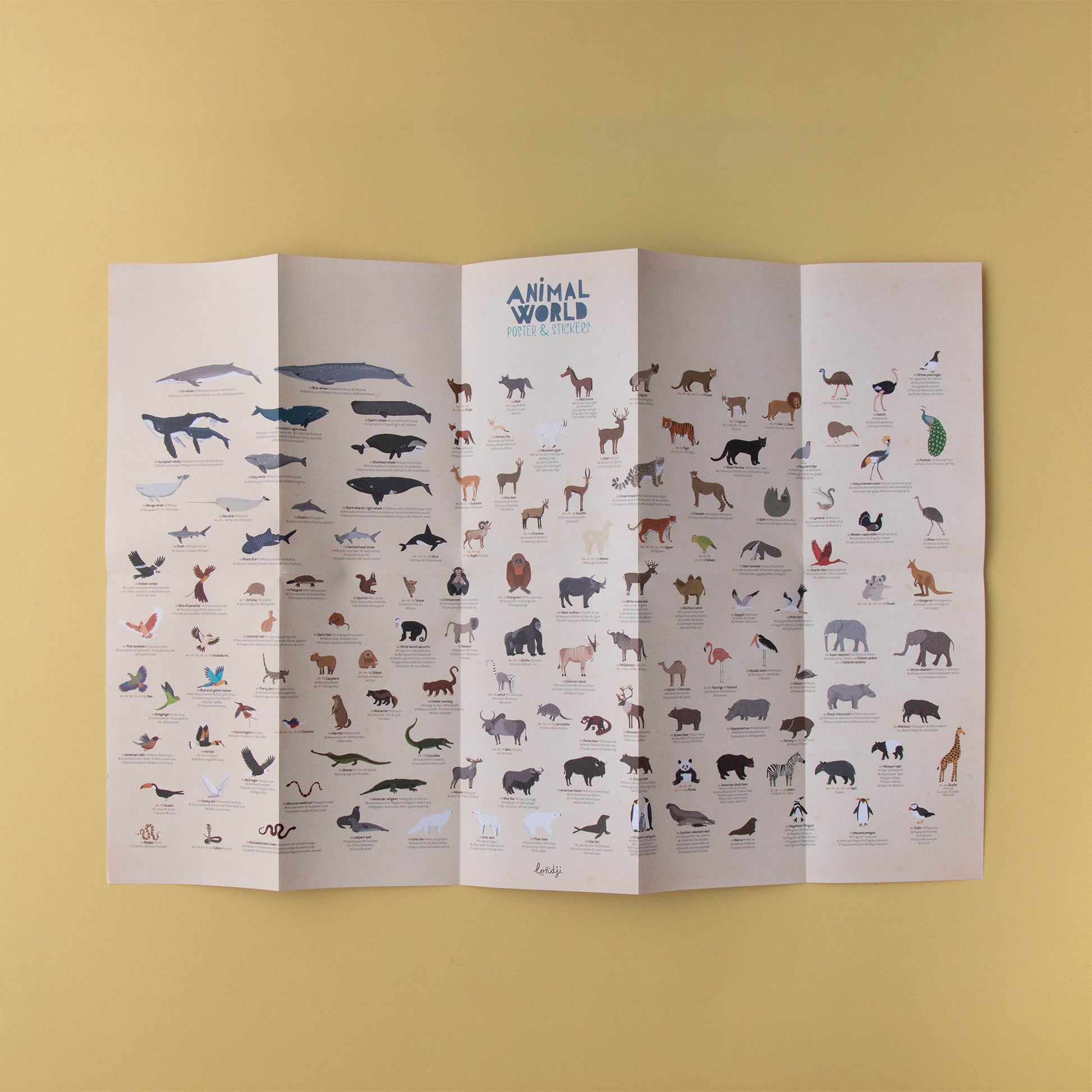 Ansicht der Rückseite des Londji Weltkarten-Posters aus dem Bastelset. Zeigt einige Tierillustrationen auf der Karte, um die Lebensräume verschiedener Tiere zu entdecken