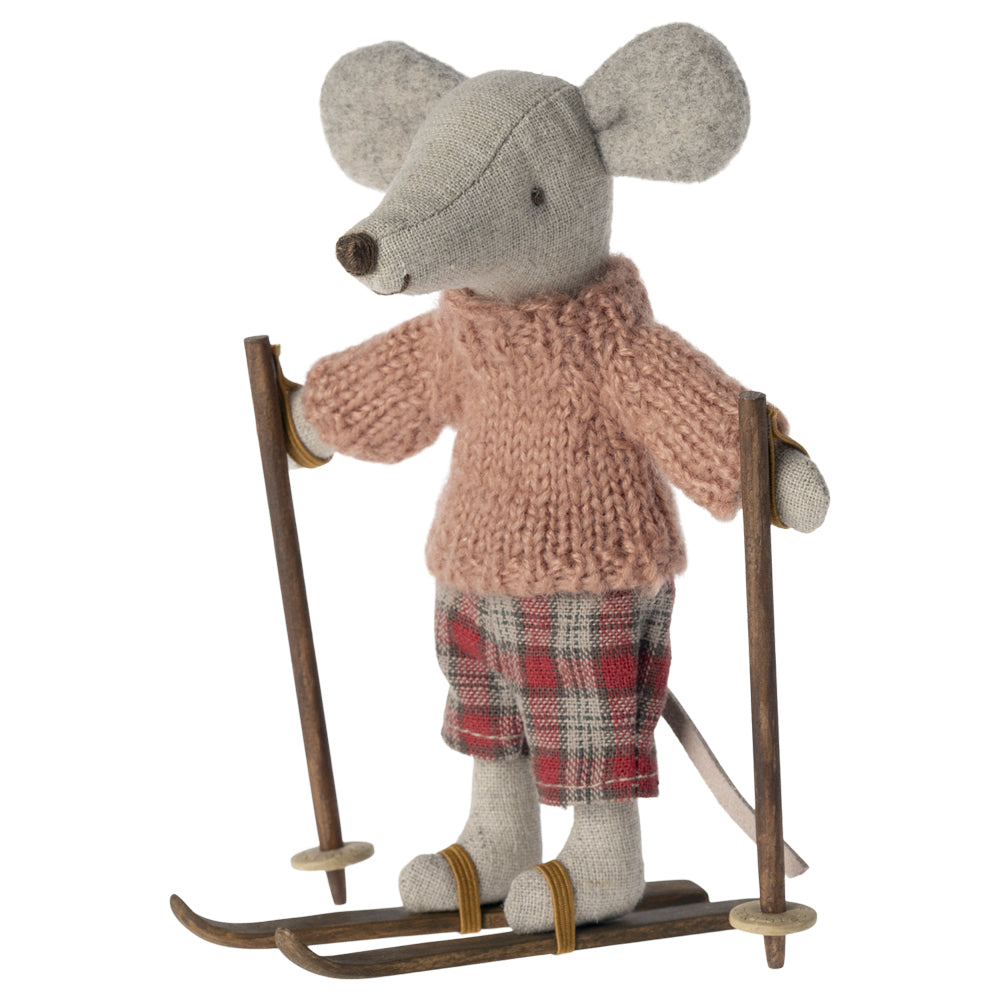 Ski und Skistöcke für große/r Schwester/Bruder