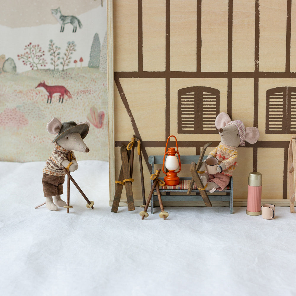 Ski und Skistöcke für große/r Schwester/Bruder